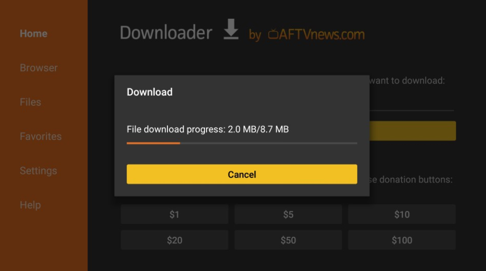 Download in Process TVZion Firestick